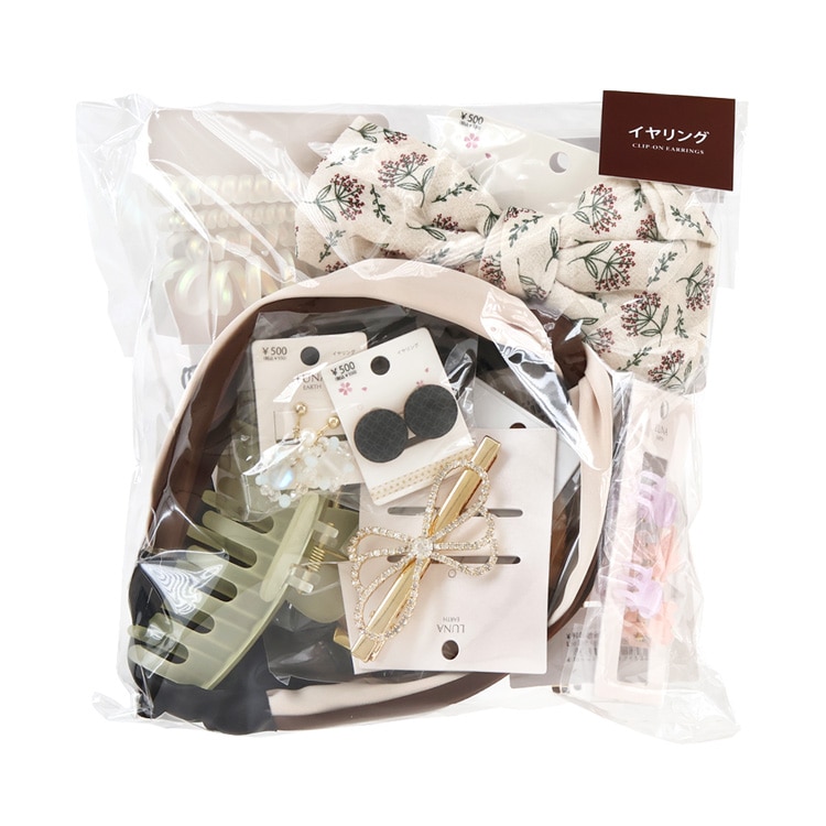 アクセサリーHAPPY BAG（イヤリング） | ビーズ・パーツなどの