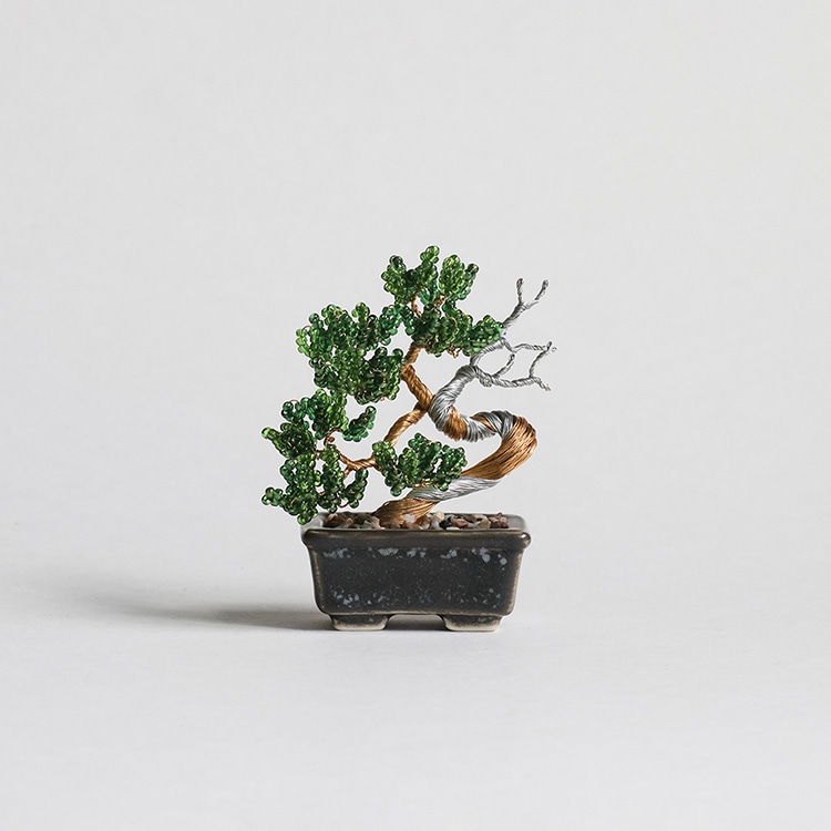 MIYUKI / ネジッテ BONSAI キット / 真柏 | ビーズ・パーツなどの