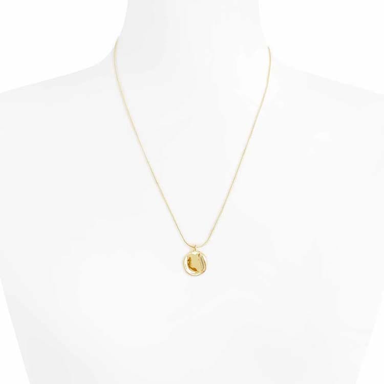 N-166) ニュアンスプレートスネークチェーンネックレス / ニッケル