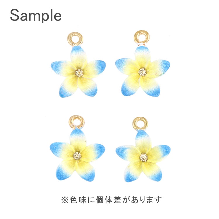 小*一様 ブルーナボイン　えびすチャーム ブルーナボイン T.Rえびすチャーム 付属品完備 美品！