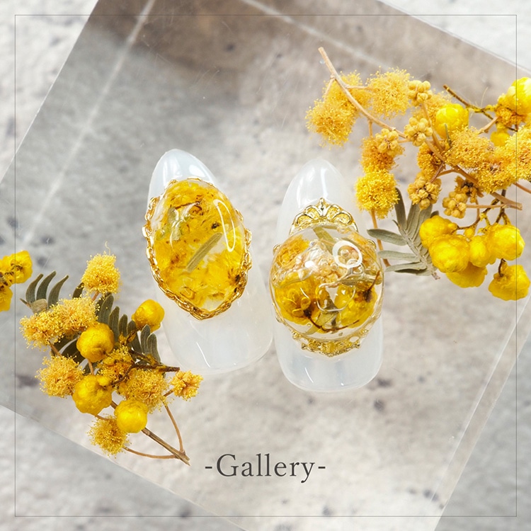 ドライフラワー ミモザ・ライスフラワーMIX / YE | ビーズ・パーツなど