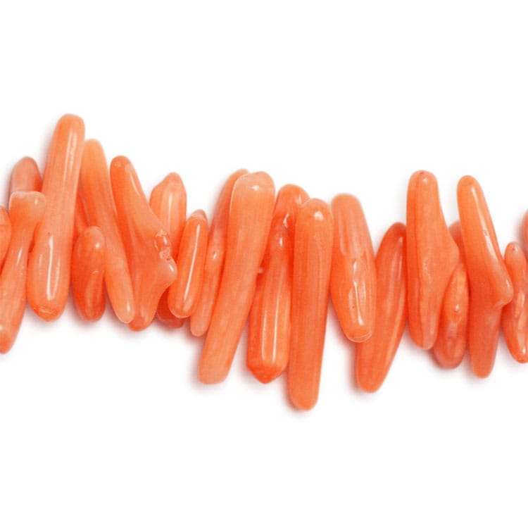 ⑩シェル さざれ コレクション オレンジ 染色 ⑩シェル さざれ