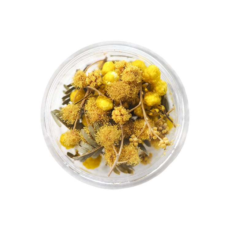 ドライフラワー ミモザ・ライスフラワーMIX / YE | ビーズ・パーツなど
