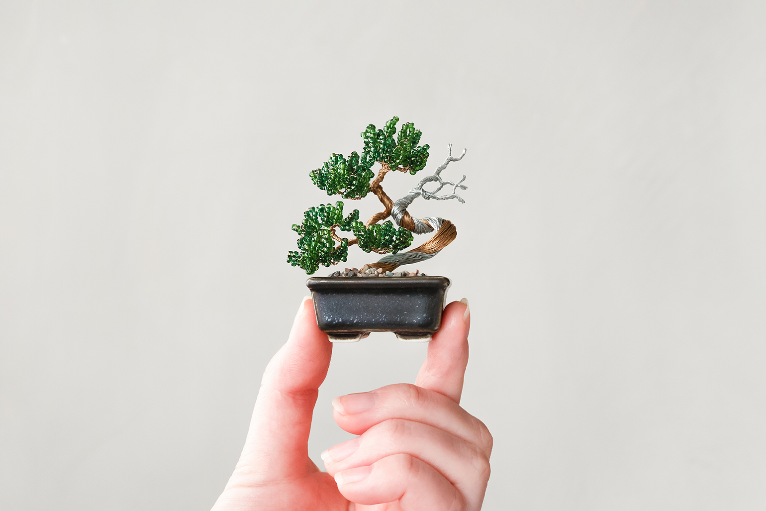 手のひらに、四季を飾る。MIYUKI nejitte BONSAI キット｜ENDLESS MODE